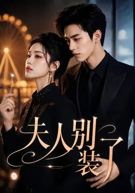 夫人别装了海报